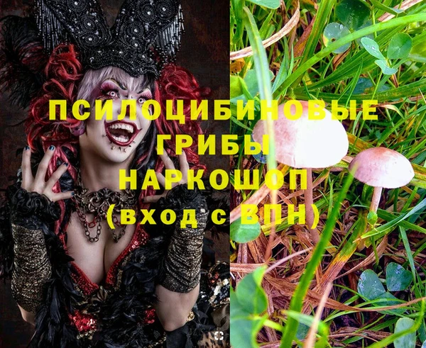 MDMA Алексеевка