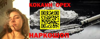 тгк Новокубанск