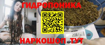 ПСИЛОЦИБИНОВЫЕ ГРИБЫ Новозыбков