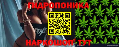 MESCALINE Новодвинск