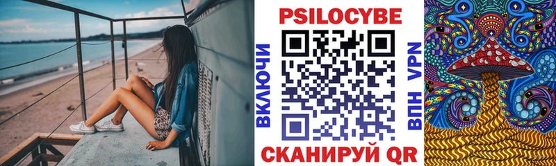 Псилоцибиновые грибы Psilocybe  Строитель 