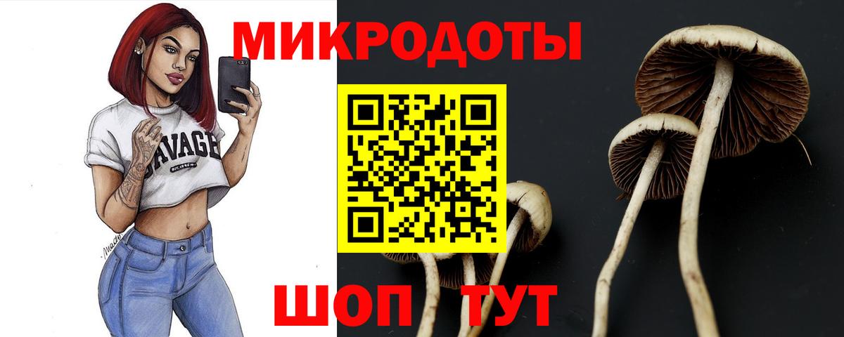 Строитель  Псилоцибиновые грибы MAGIC MUSHROOMS  Вход с VPN 