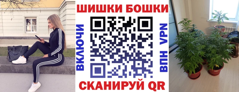 Шишки марихуана планчик  Строитель 
